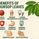 15 health benefits of soursop leaves