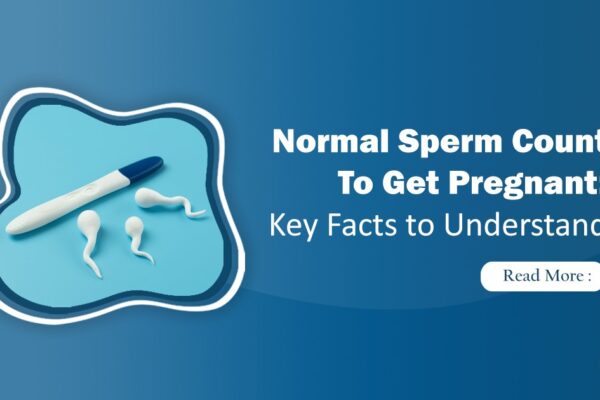 normal sperm count to get pregnant